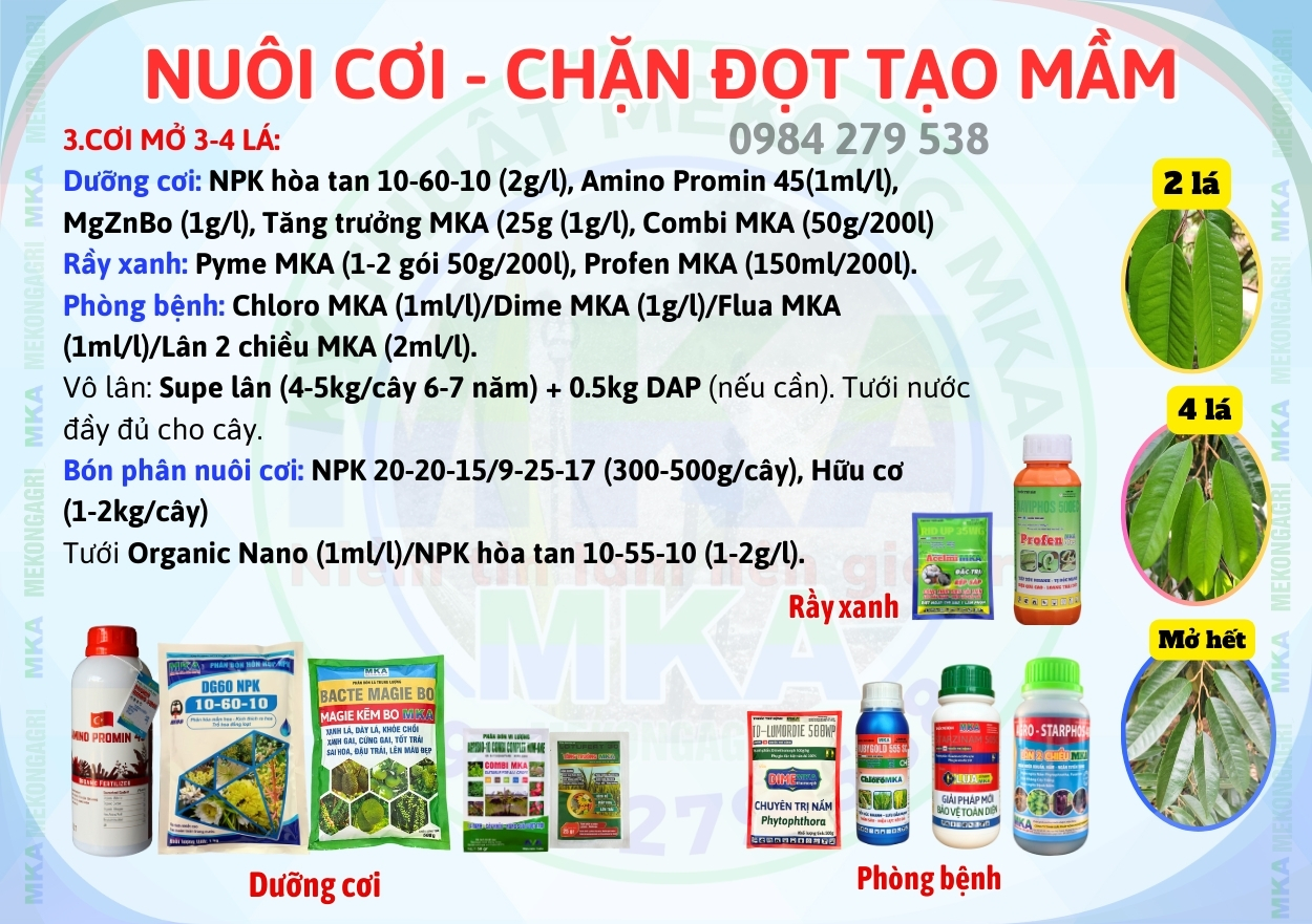 Chặn đọt tạo mầm mấy lần thì cây sẽ ra hoa